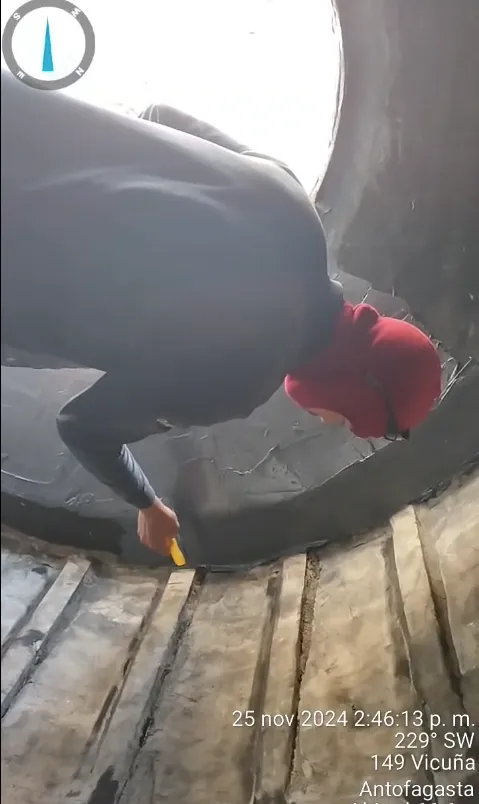 Descripción de la imagen